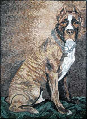 AN252 Pit bull head Mosaic