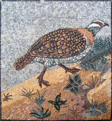 AN98 bird walking on sand Mosaic