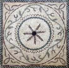 GEO135 Mosaic